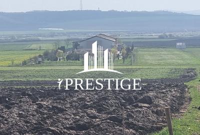 Teren agricol extravilan de 10000 mp, în Șura Mică - 5