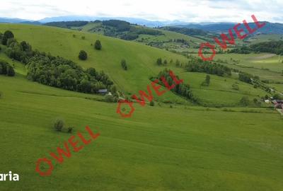Teren de 4721 mp, în Barcani