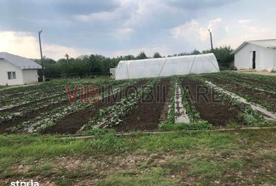 Teren de 30000 mp, în Nicolae Bălcescu - 7