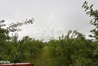 Casă cu 3 camere în Cornățel - 6