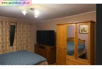 Casă individuală cu 10 camere cu Canalizare în Malu Roșu - 9