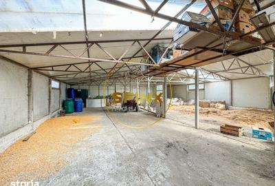Teren de 29000 mp, în Nicolae Bălcescu - 13