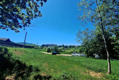 Teren intravilan de 3660 mp, în Cisnădioara - 1