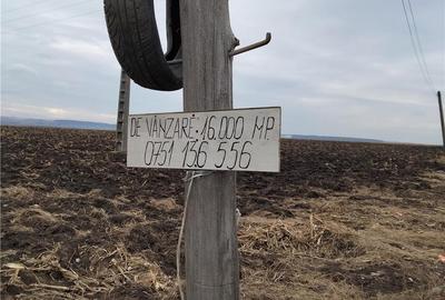 Teren de 16000 mp, în Central - 2