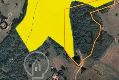 Teren Construcții intravilan de 13700 mp, în Săcădat - 2