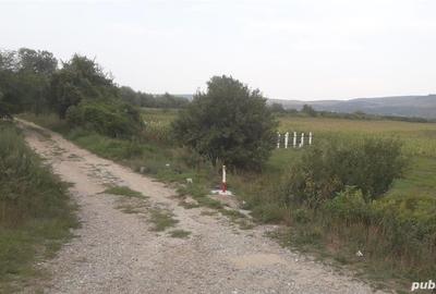 Teren de 3350 mp, în Central - 2