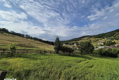 Teren de 700 mp, în Gârcina