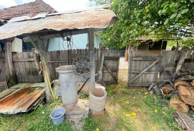 Casă cu 3 camere cu Teren 880 Mp în Leamna de Sus - 2