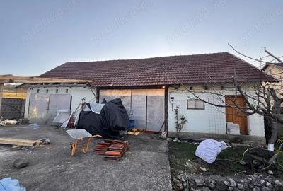 Casă cu Teren 2900 Mp în Trestia - 15