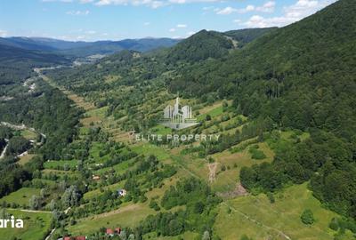 Teren de 3300 mp, în Valea Doftanei