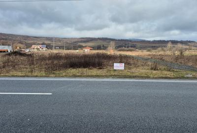 Teren intravilan de 2000 mp, în Exterior Vest - 4