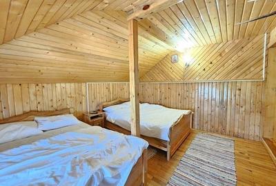 Casă individuală cu 6 camere cu Teren 13325 Mp în Ivănețu - 40