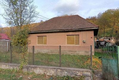 Casă cu 4 camere cu Teren 2878 Mp în Dognecea - 1