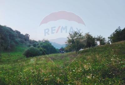 Teren Construcții intravilan de 2339 mp, în Bârsana - 2