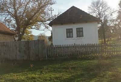 Casă cu Teren 7000 Mp în Fâșca - 4