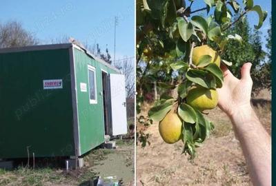 Teren de 1500 mp, în Frumușani - 2
