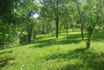 Teren de 1000 mp, în Podu Lung - 3