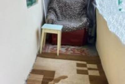 Casă cu 5 camere cu Teren 3670 Mp în Strejeștii de Sus - 5