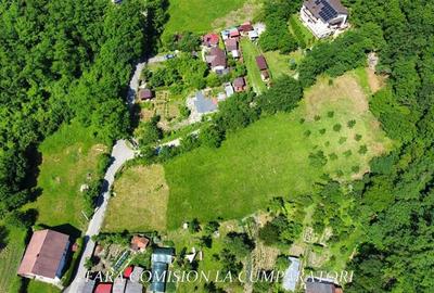 Teren Construcții intravilan de 1821 mp, în Est - 11