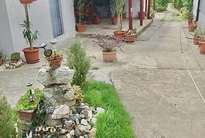Casă cu 4 camere în Valea Călugărească - 2