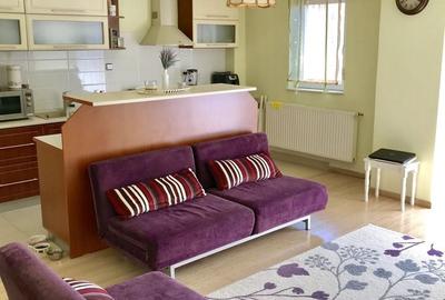 Apartament cu 2 camere în Dosu Bricii