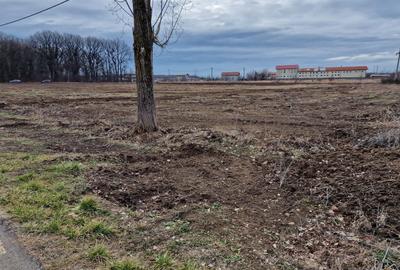 Teren Construcții intravilan de 12800 mp, în Ciolpani - 6