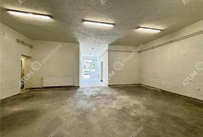 Spațiu comercial, de 380 mp, în Terezian - 1