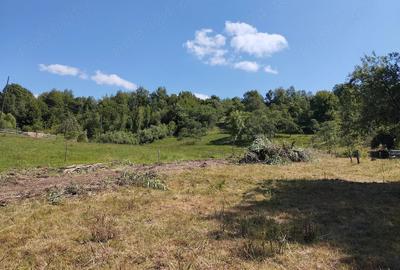 Teren de 4630 mp, în Ciucea - 2