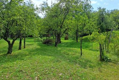 Teren în Șotrile - 5