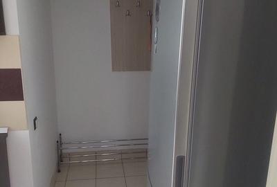 Apartament cu 2 camere în Trivale - 3