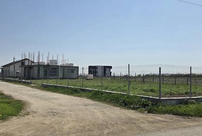 Teren de 536 mp, în Ulmi - 3