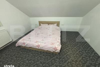 Casă cu 6 camere cu Teren 5000 Mp în Meseșenii de Jos