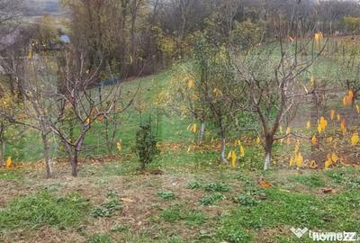 Casă cu 2 camere cu Teren 1807 Mp în Central