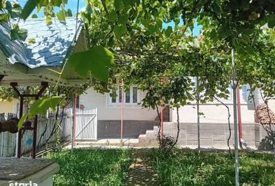 Casă cu 5 camere cu Teren 200 Mp în Curița