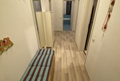 Apartament cu 2 camere decomandat în Luminiș - 3