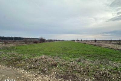 Teren de 545 mp, în Tărtășești - 3
