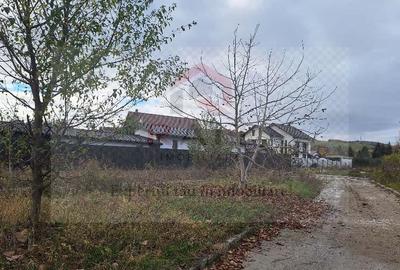 Teren Construcții intravilan de 760 mp, în Sud - 2