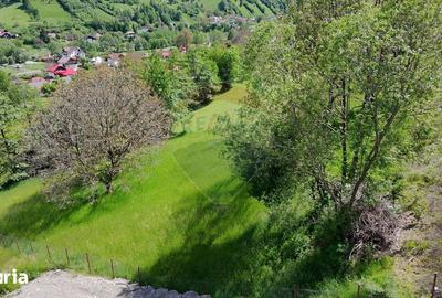 Teren de 1431 mp, în Moieciu - 2