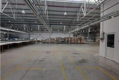 Spațiu industrial, de 6,500 mp, în Periferie - 14