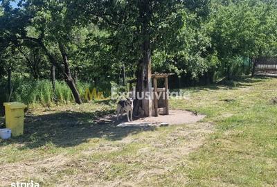 Casă cu 2 camere cu Teren 1150 Mp în Boțești