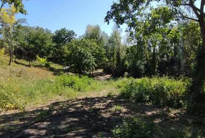 Teren de 4786 mp, în Jugureni - 1
