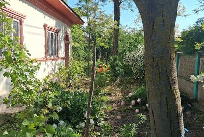 Casă cu Teren 1500 Mp în Dor Mărunt