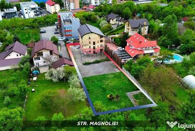 Spațiu comercial, de 715 mp, în Central - 1