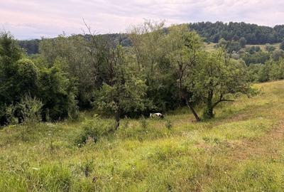 Teren de 2600 mp, în Drajna - 4