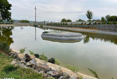 Spațiu comercial, în Viile Satu Mare - 10