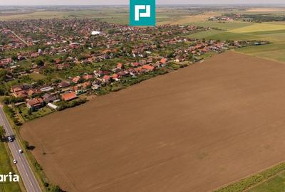 Teren de 28500 mp, în Șofronea - 3