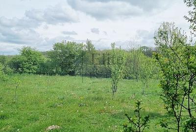 Casă cu 4 camere în Gurbediu - 7