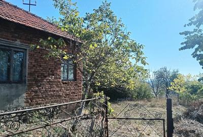 Casă cu 1 camere cu Teren 6700 Mp în Târnava