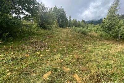 Teren de 608 mp, în Băișoara - 3