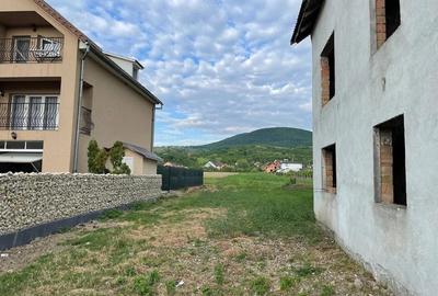 Casă cu Teren 4442 Mp în Viile Apei - 4